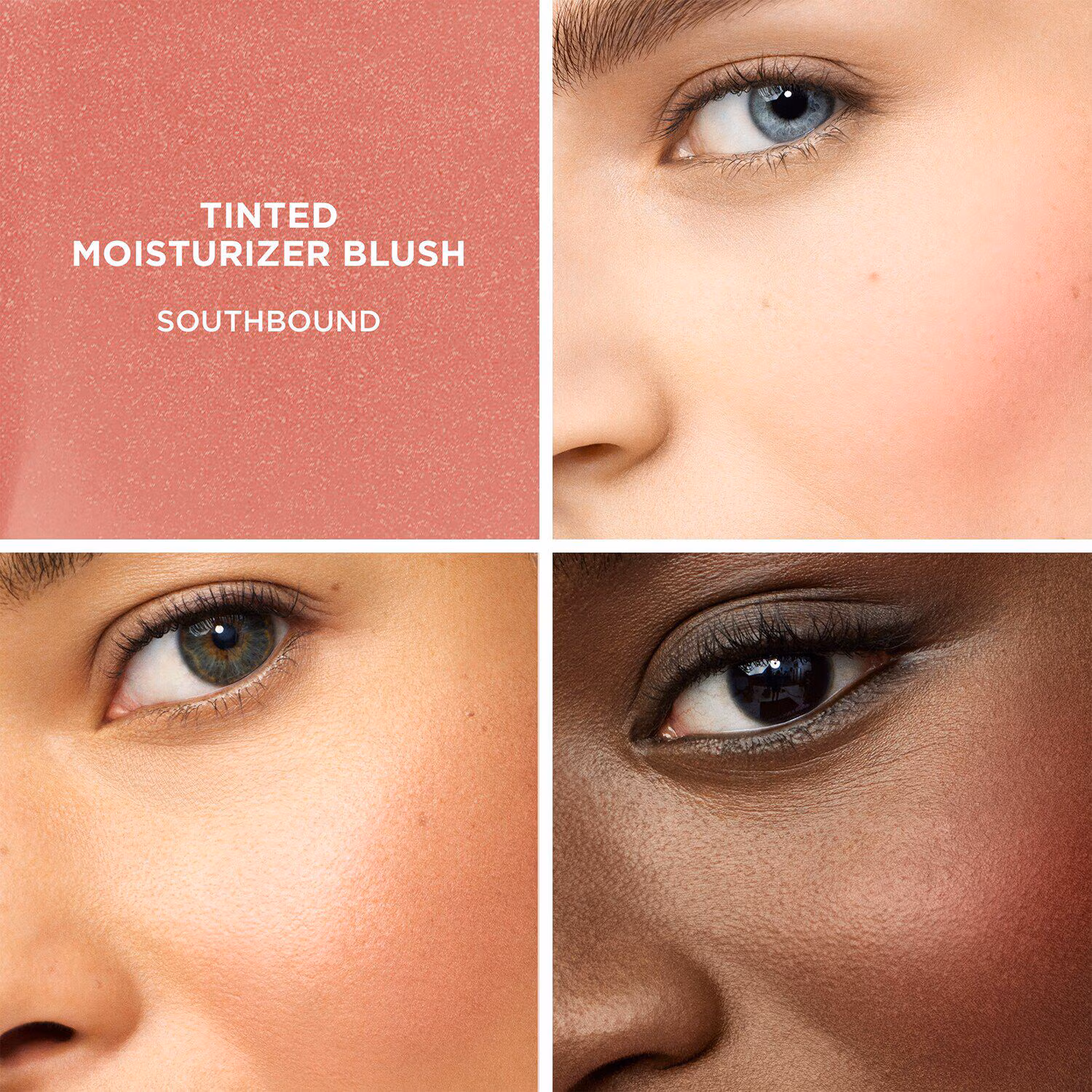 TINTED MOISTURIZER BLUSH