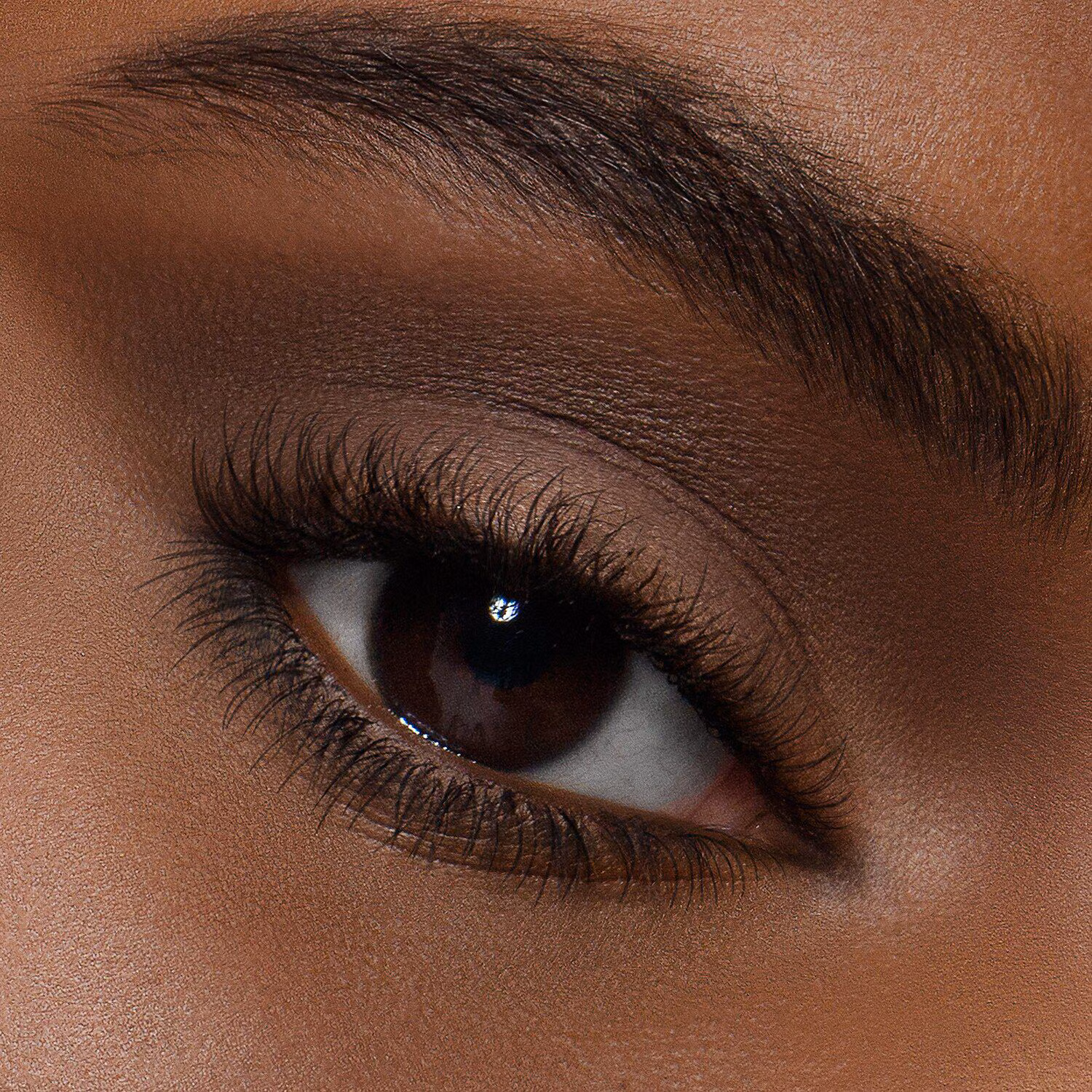 Master Mattes Palette