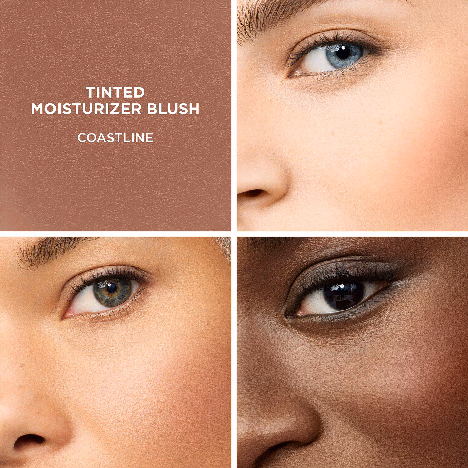 TINTED MOISTURIZER BLUSH