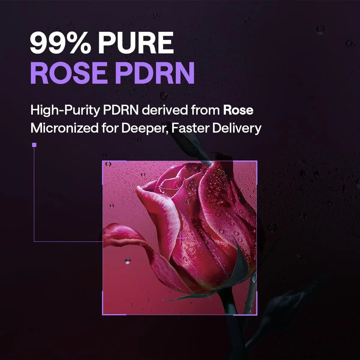 MEDIHEAL Toner Pads  PDRN 100 Pads