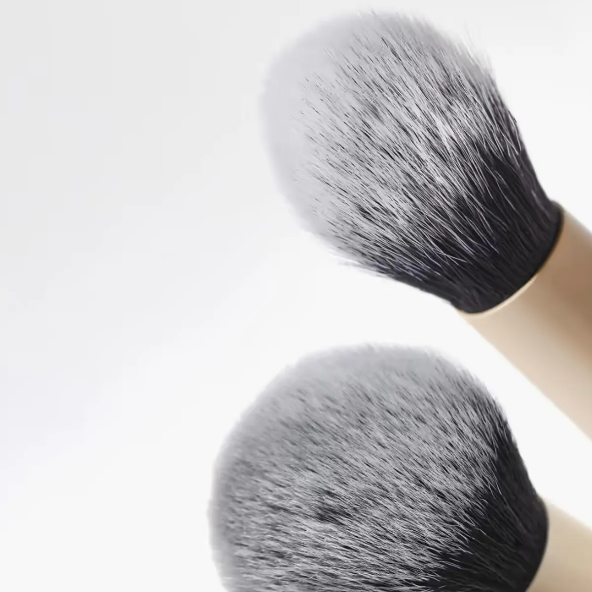 Complexion Brush