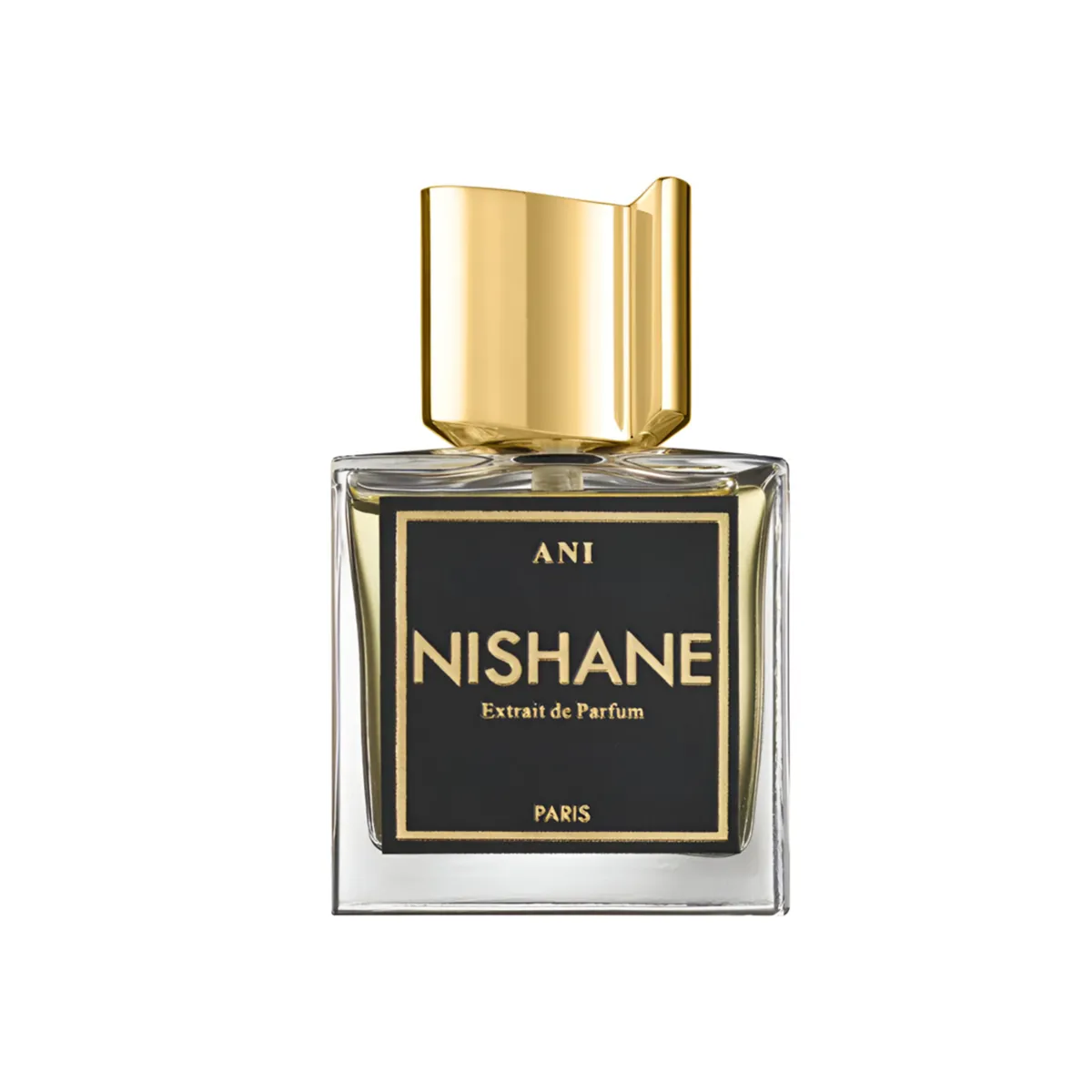 Ani Extrait De Parfum - 100Ml