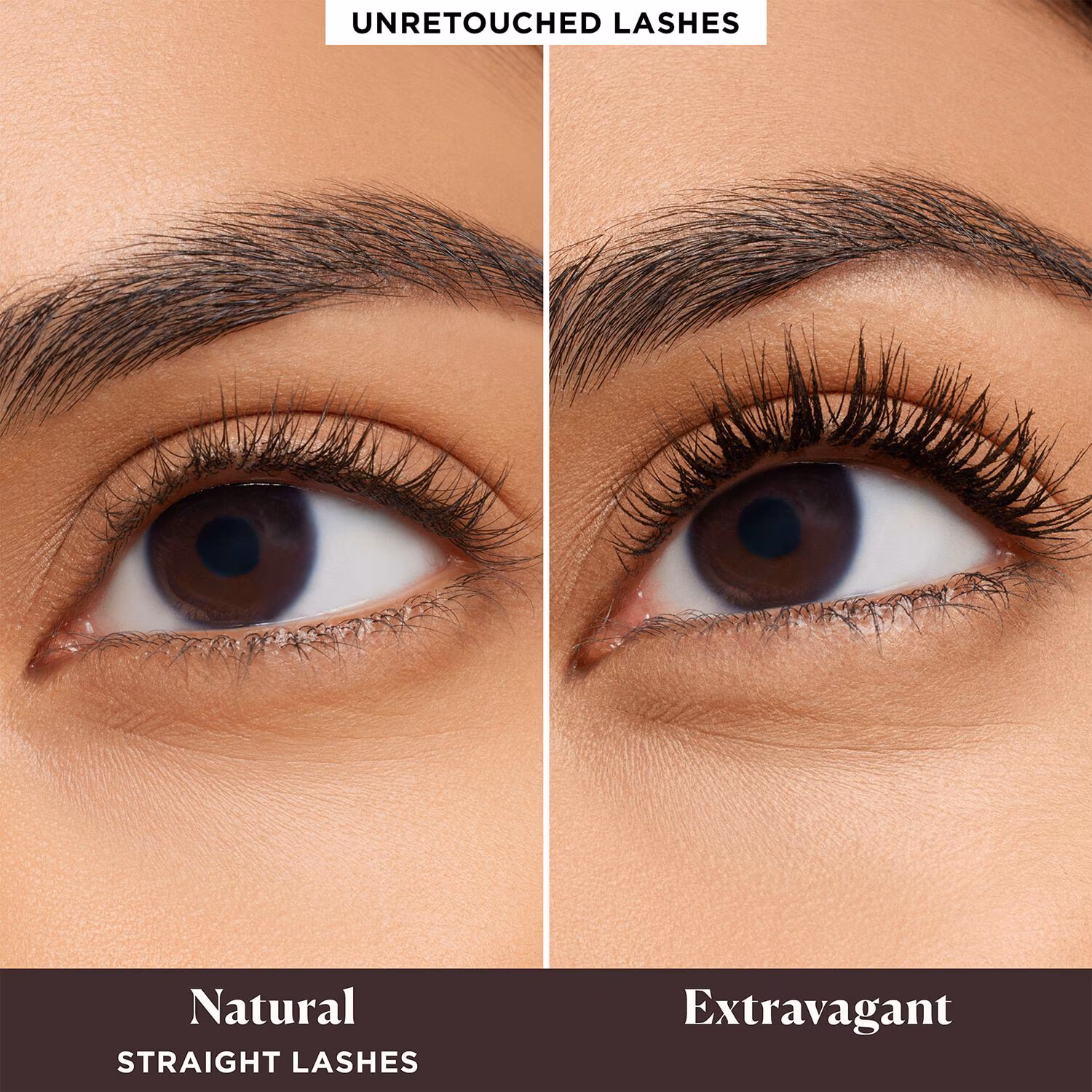 Caviar Cravings Eye Essentials