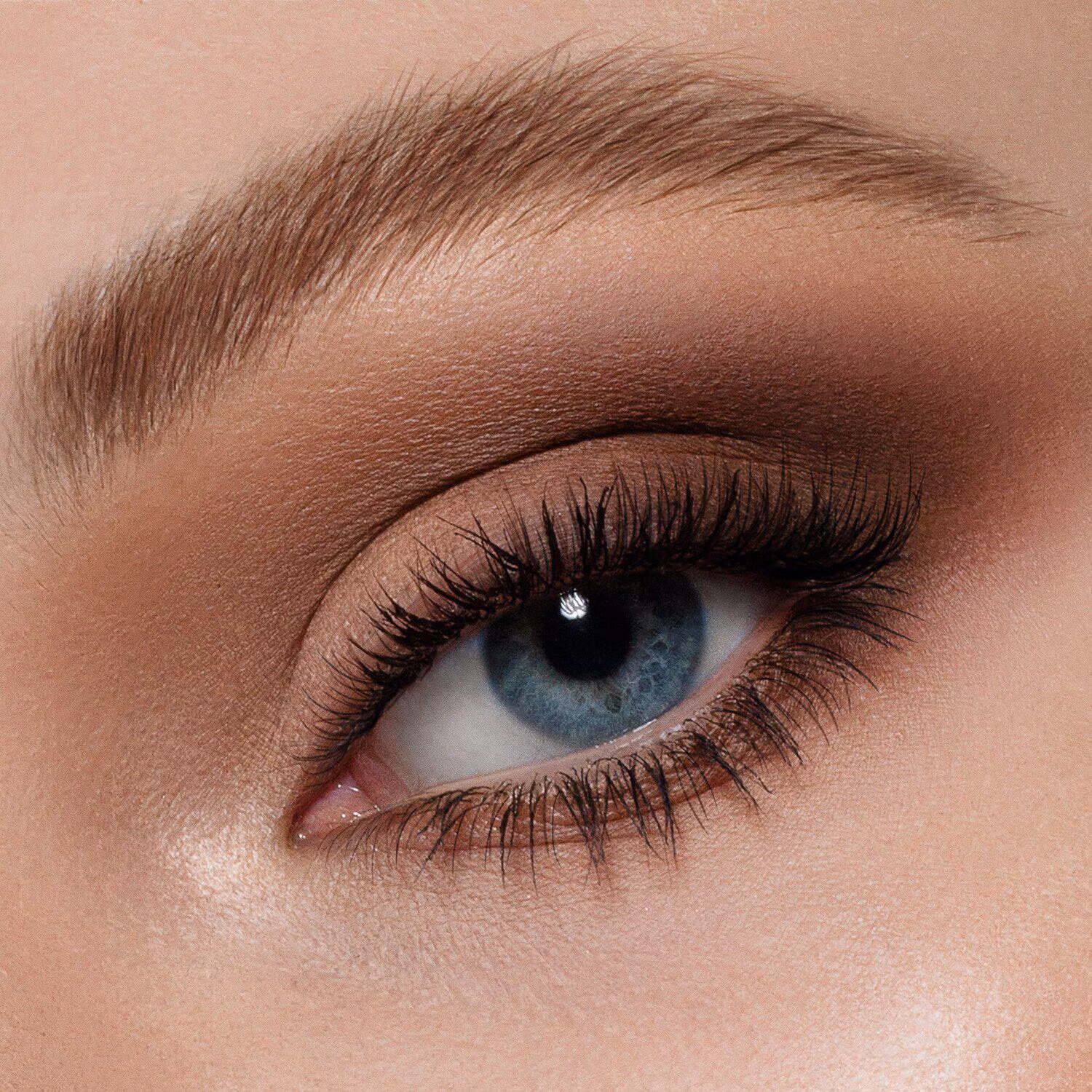 Master Mattes Palette