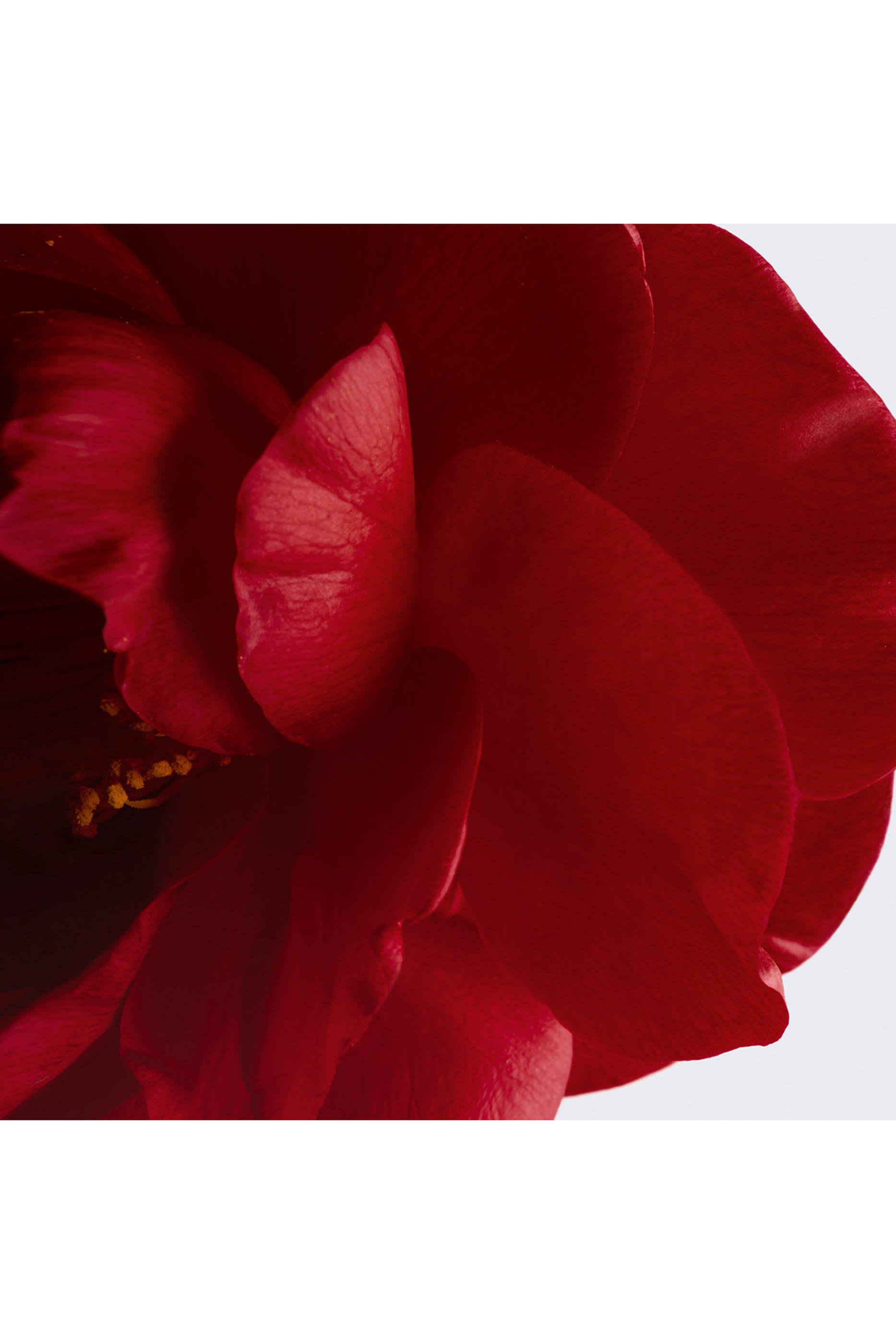 N°1 De Chanel Lip & Cheek Balm Enhances Colour – Nourishes – Plumps